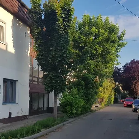 Apartment Lotti